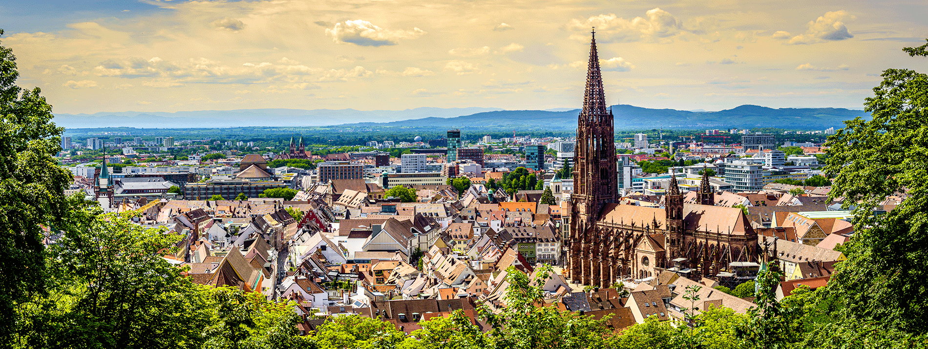 stellplatz freiburg